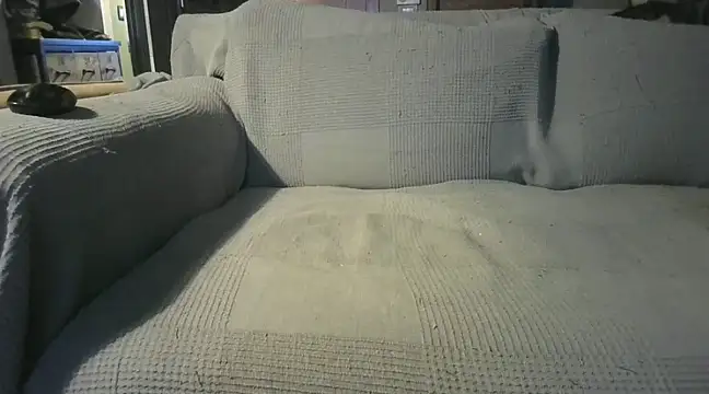 naked bear online show from 12-19-24, 07:29