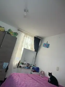 emily honter online show from 07-14-26, 07:09