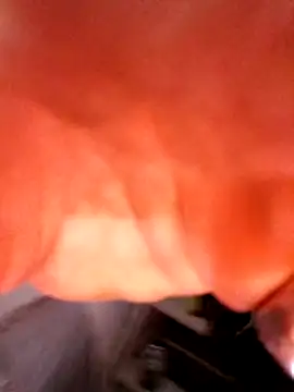 justinewe69 online show from 02-11-26, 08:14