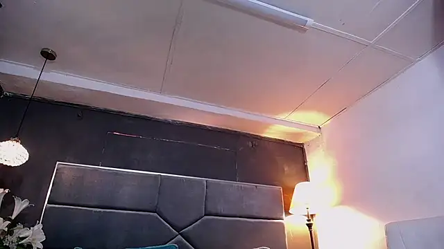 teddyfit19cm online show from 01-12-26, 12:56