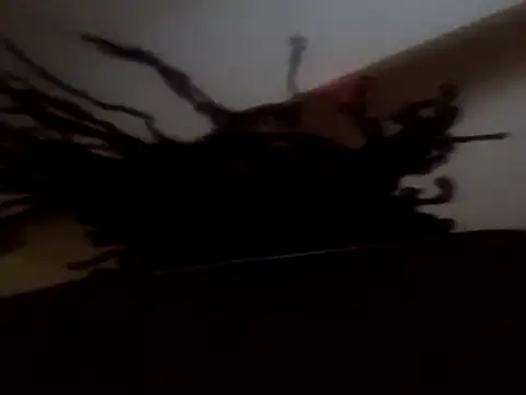 PrinceNoAlbert online show from 09-11-25, 12:38