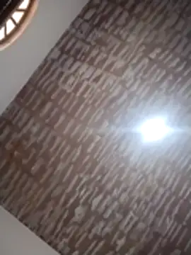 catdool online show from 12-14-25, 12:22