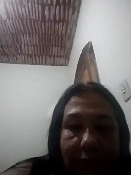 catdool online show from 11-29-25, 11:27