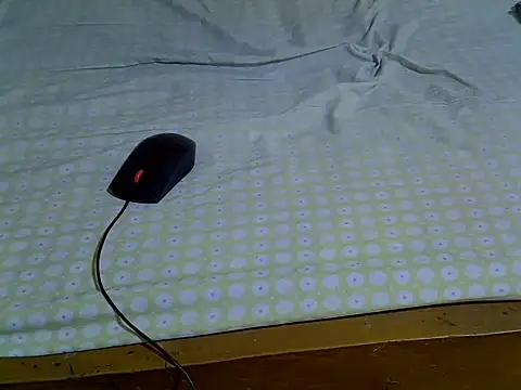 EbonyMina  online show from 04-10-26, 01:40