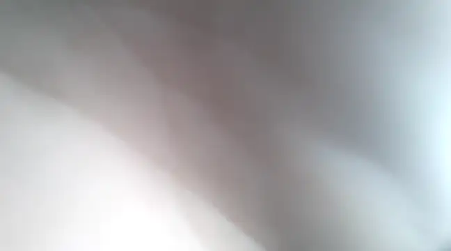 Snapshot of Dalton2288 chatting on 01-21-25, 07:50 Dalton2288 online show from 01-21-25, 07:50