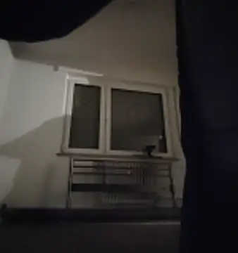 GermanBigDream online show from 02-03-26, 07:30