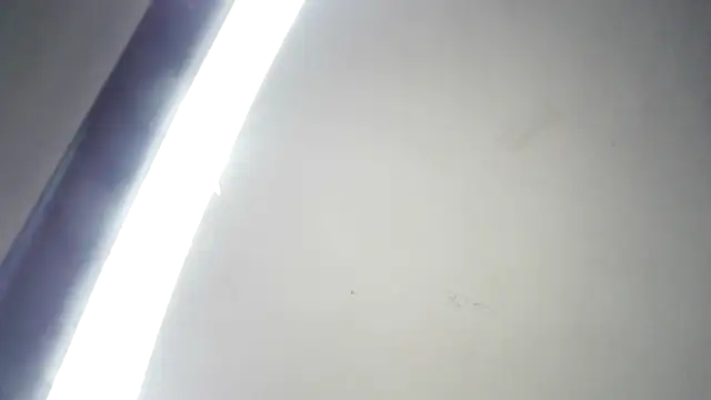 RinsingWood84 online show from 03-04-26, 09:22