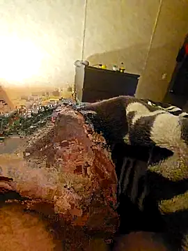 Advocate 420 online show from 12-03-25, 06:47