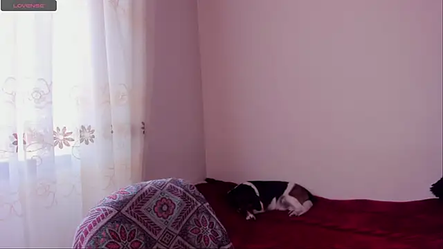 Snapshot of aluna_0310 chatting on 12-20-24, 08:45 aluna 0310 online show from 12-20-24, 08:45