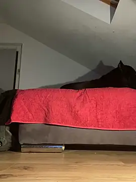 Snapshot of Vlad200472 chatting on 12-14-24, 06:52 Vlad200472 online show from 12-14-24, 06:52