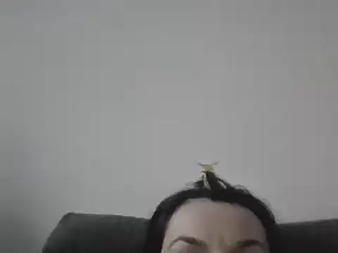 Snapshot of FallenDevil chatting on 03-07-25, 04:00 FallenDevil online show from 03-07-25, 04:00