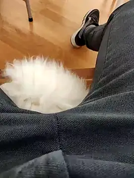 Snapshot of papiculo86 chatting on 02-02-25, 09:07 papiculo86 online show from 02-02-25, 09:07