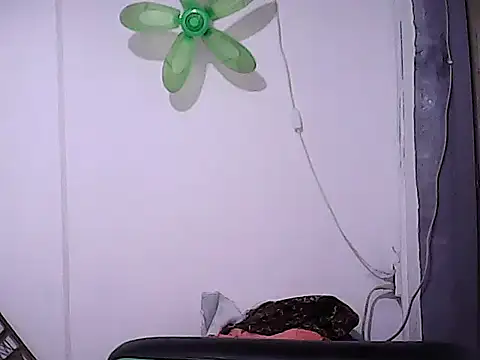 BigDickTrans online show from 02-05-26, 07:04