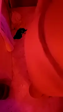 Snapshot of Misspadrona88 chatting on 01-23-25, 12:57 Misspadrona88 online show from 01-23-25, 12:57