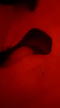 Snapshot of Misspadrona88 chatting on 10-05-25, 10:55 Misspadrona88 online show from 10-05-25, 10:55