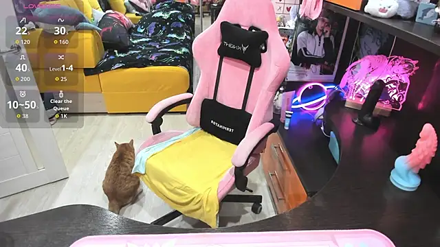 Softie Sofy online show from 04-08-26, 02:57