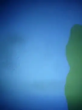 waspy online show from 03-07-25, 09:17