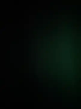 waspy online show from 12-04-25, 11:31