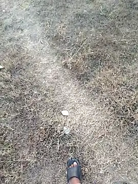 Snapshot of rameshmry1 chatting on 03-10-26, 12:31 rameshmry1 online show from 03-10-26, 12:31