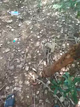 Snapshot of rameshmry1 chatting on 02-21-26, 09:00 rameshmry1 online show from 02-21-26, 09:00