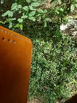 rameshmry1 online show from 01-07-26, 05:01