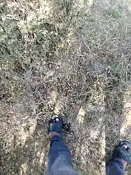 Snapshot of rameshmry1 chatting on 02-23-26, 04:14 rameshmry1 online show from 02-23-26, 04:14