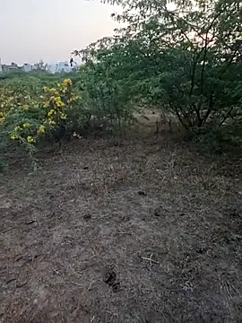 Snapshot of rameshmry1 chatting on 03-05-26, 12:35 rameshmry1 online show from 03-05-26, 12:35