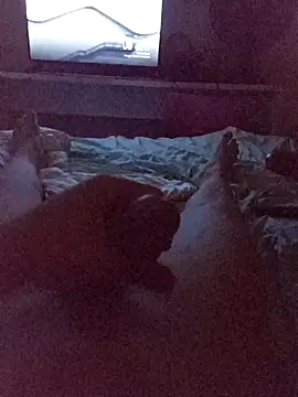 Kira-san online show from 11-24-25, 03:17