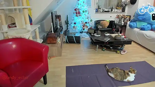 tinny williams online show from 12-03-25, 04:24