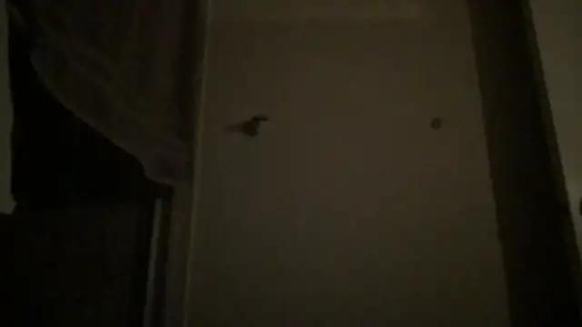 BigGuyMuscle online show from 04-04-26, 04:08