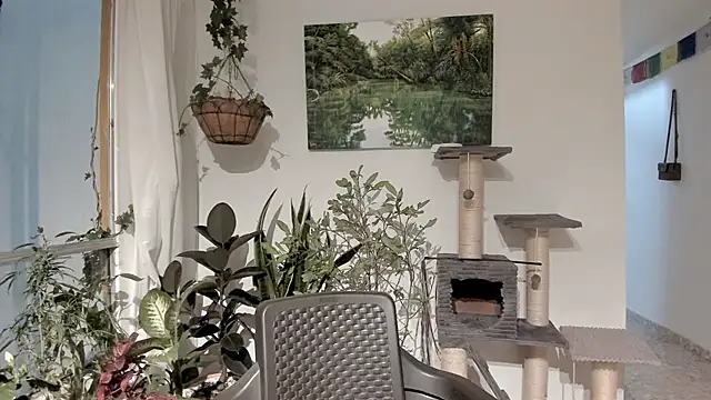 Snapshot of sexnherbs chatting on 02-11-26, 12:43 sexnherbs online show from 02-11-26, 12:43