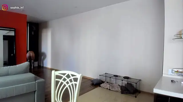  in yan online show from 03-16-26, 04:31