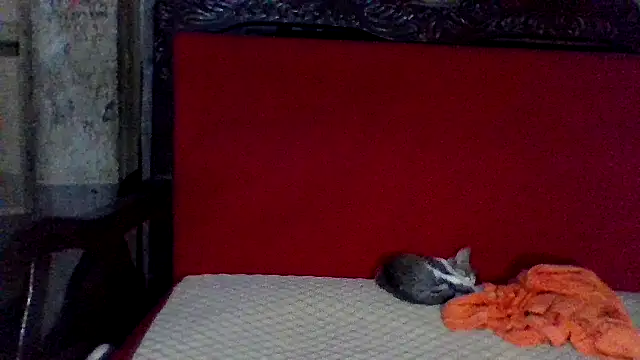 Snapshot of axomen chatting on 02-16-25, 03:58 axomen online show from 02-16-25, 03:58