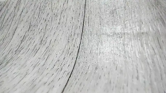 Snapshot of LittleSonya chatting on 12-15-25, 04:57 LittleSonya online show from 12-15-25, 04:57