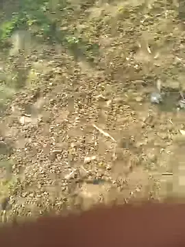 FinableKnee online show from 10-27-25, 05:08