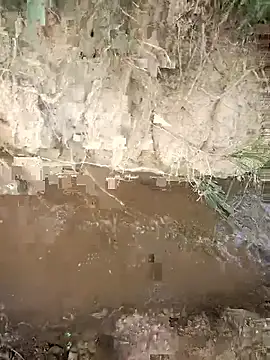 FinableKnee online show from 10-23-25, 03:49