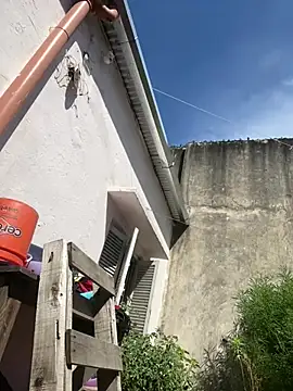 Alicbranca online show from 02-26-26, 02:06