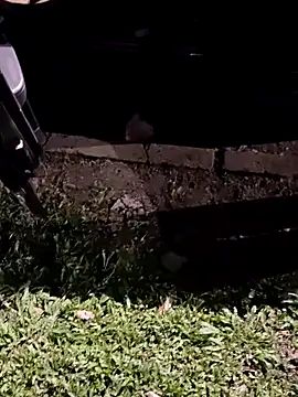 Snapshot of jeancarloscum12 chatting on 02-10-26, 08:35 jeancarloscum12 online show from 02-10-26, 08:35