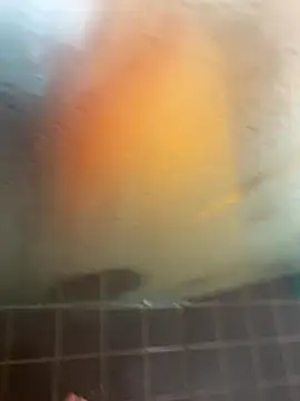 Mark3706 online show from 09-21-25, 11:04