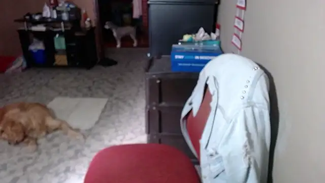 Barbiegomez online show from 03-17-26, 06:11