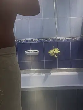 Arabien Pharaoh- online show from 03-20-25, 05:58