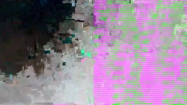 PUSSYundBAER online show from 12-21-25, 01:52