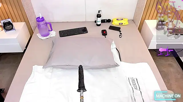 Snapshot of bounce_katty chatting on 02-24-26, 09:37 bounce katty online show from 02-24-26, 09:37