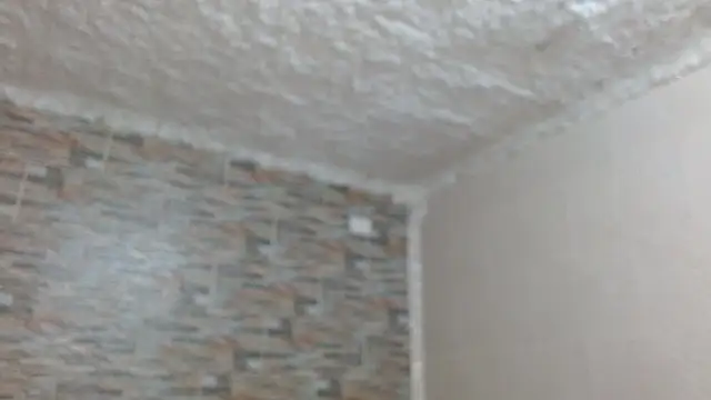 omar alurba online show from 12-04-25, 05:12