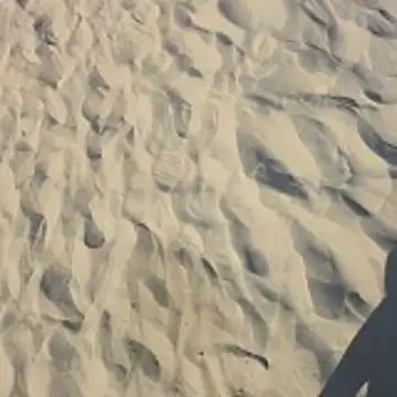 Trucker Hunter online show from 10-26-25, 03:45