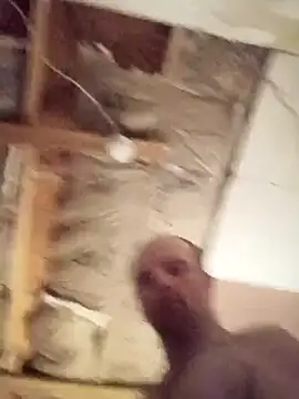 420pussylickr online show from 03-07-26, 01:38