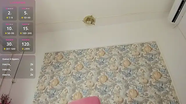 illegal lorry online show from 01-10-26, 06:09