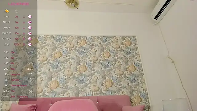 illegal lorry online show from 10-17-25, 05:00