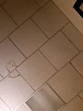 curiouscock38 online show from 11-20-25, 11:55