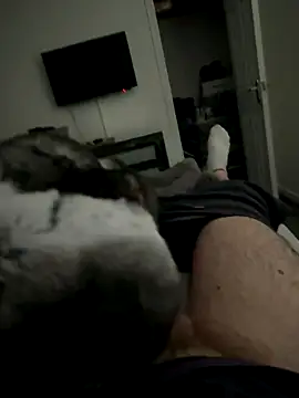 Furdale online show from 10-02-25, 03:37